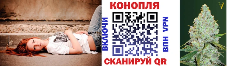 Купить наркоту Туринск ГАШИШ  Псилоцибиновые грибы  АМФ  Бошки Шишки  Мефедрон  A PVP 