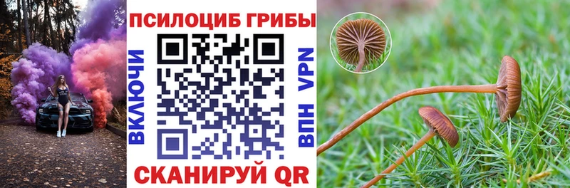 Галлюциногенные грибы GOLDEN TEACHER  MEGA tor  Туринск  где найти наркотики 